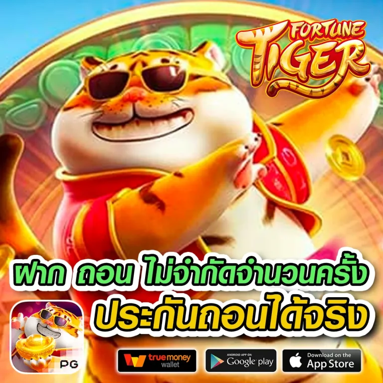 chokdeefun ทางเข้า